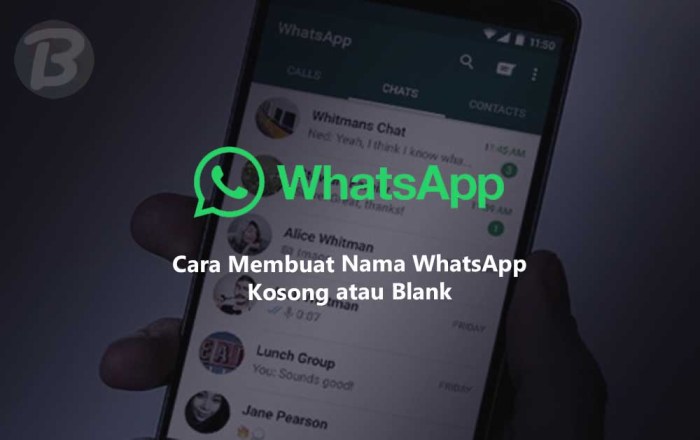 Cara Agar Nama Wa Kosong Tanpa Aplikasi