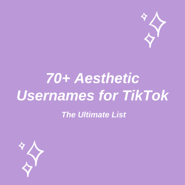 Contoh Nama Akun Tiktok Aesthetic