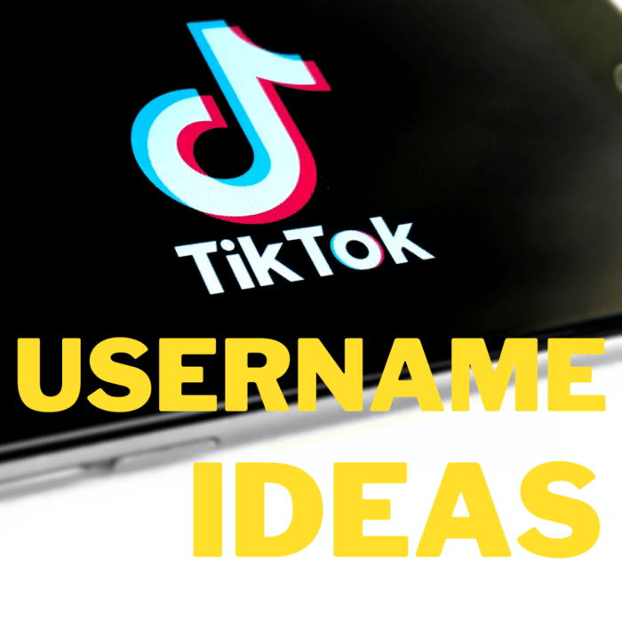 Cara Membuat Nama Tiktok Tebal